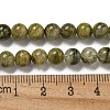 Natural Green Tourmaline Beads Strands G-B099-C05-02-5