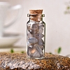Glass Wishing Bottles PW-WG27717-16-1