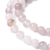 Natural Violet Strawberry Quartz Beads Strands G-P530-B02-01-4