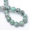 Natural Sesame Jasper/Kiwi Jasper Bead Strands G-R345-8mm-12-3