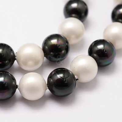 Shell Pearl Bead Strands BSHE-L017-13-1