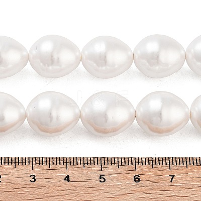 Electroplated Shell Pearl Beads Strands BSHE-H110-01-03-1