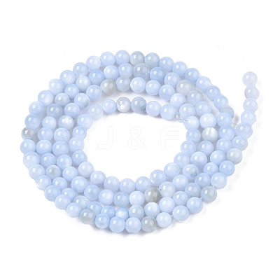 Natural Freshwater Shell Beads Strands BSHE-T009A-01F-1