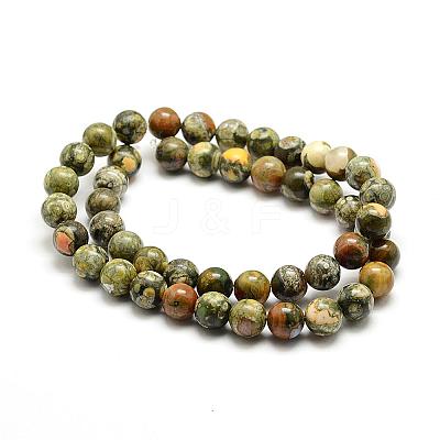 Natural Rhyolite Jasper Bead Strands G-G684-01-4mm-1