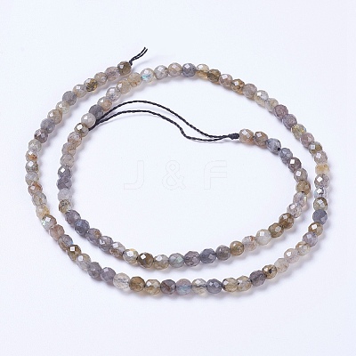Natural Labradorite Beads Strands G-F568-199-4mm-1