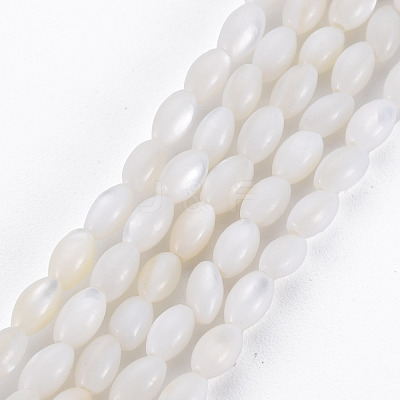 Natural Freshwater Shell Beads Strands SHEL-N027-08A-1