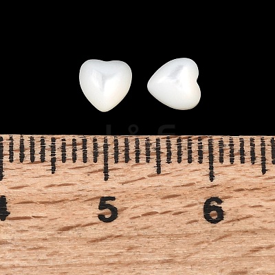 Natural White Shell Cabochons BSHE-H001-05-1