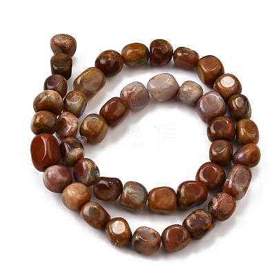Natural Petrified Wood Beads Strands G-L621-C11-02-1