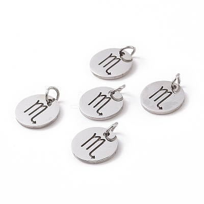 Non-Tarnish 304 Stainless Steel Charms STAS-Q201-T445-8S-1