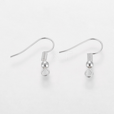 Grade A Silver Color Plated Iron Earring Hooks EC135-S-NF-1