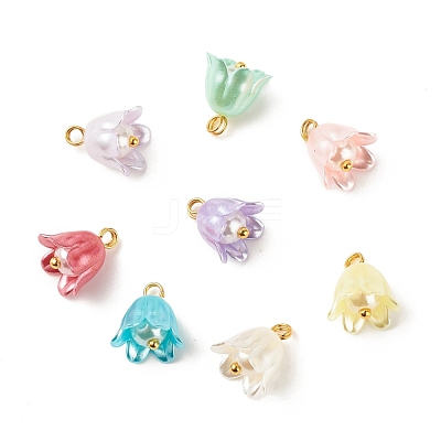 Spray Paint ABS Plastic Imitation Pearl Charms PALLOY-JF01603-03-1