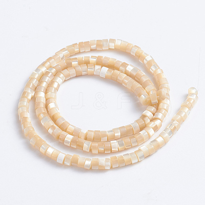 Natural Trochid Shell/Trochus Shell Beads Strands X-SSHEL-L016-13B-1