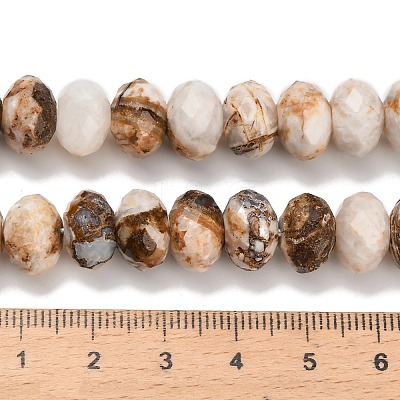 Natural Petrified Wood Beads Strands G-C259-A06-8x12mm-02-1