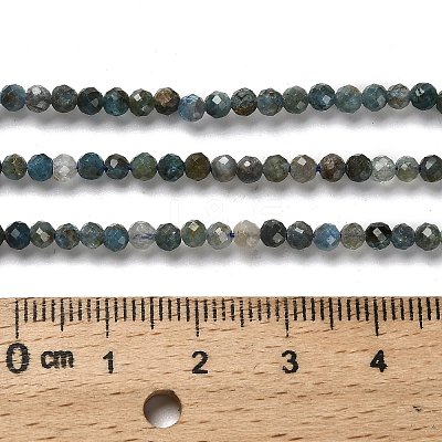 Natural Apatite Beads Strands LS-G-RM2025-A18-3mm-A-1