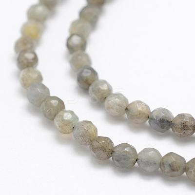 Natural Labradorite Beads Strands G-P322-30-4mm-1