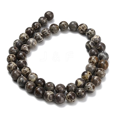 Natural Astroite Jasper Beads Strands G-F814-A01-8mm-1