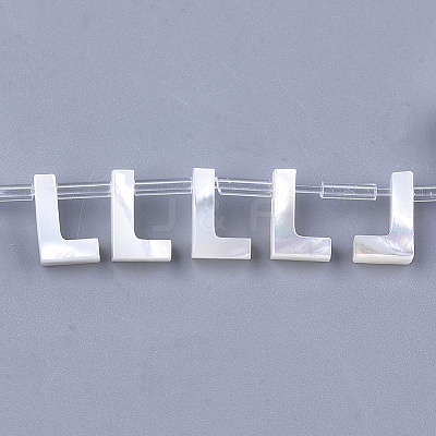 Sea Shell Beads LS-X-SHEL-T012-60L-1