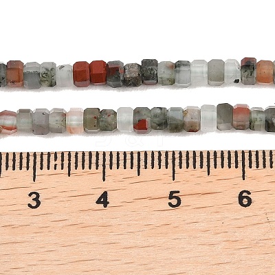 Natural African Bloodstone Beads Strands G-G345-C09-2x4mm-1
