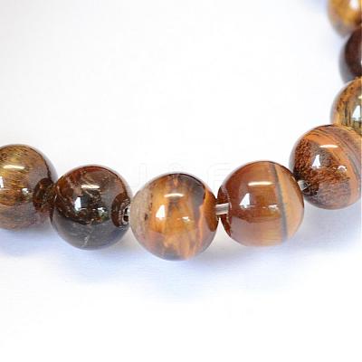 Grade AB Natural Tiger Eye Round Bead Strands G-E334-10mm-17-1
