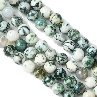 Natural Tree Agate Beads Strands X-G-K194-8mm-02-1