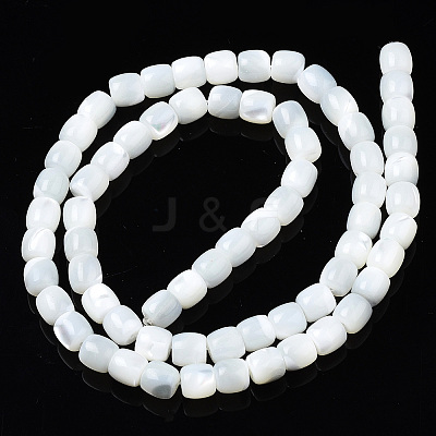 Natural Trochid Shell/Trochus Shell Beads Strands X-SSHEL-N034-121-B01-1