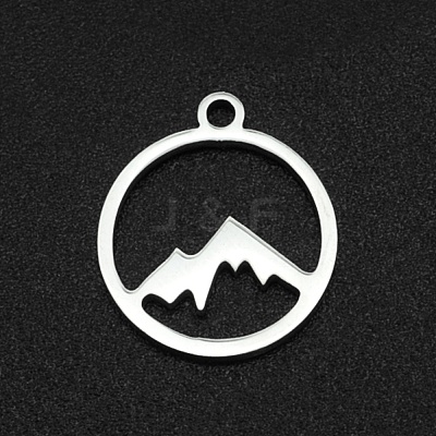 Non-Tarnish 201 Stainless Steel Charms STAS-N090-LA003-1