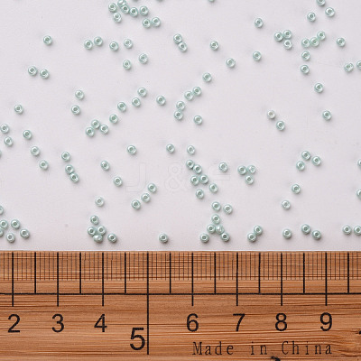 12/0 FGB Grade A Round Glass Seed Beads SEED-N001-A-1031-1
