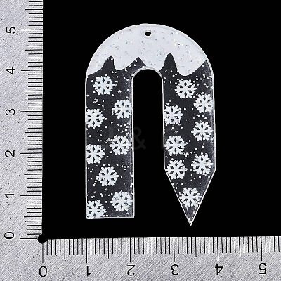 Christmas Theme Acrylic Pendants OACR-Q100-06B-1