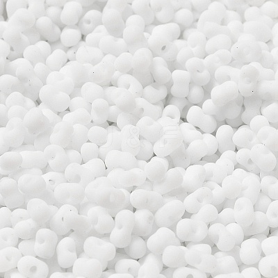 Glass Frosted Seed Beads SEED-K009-05B-01-1