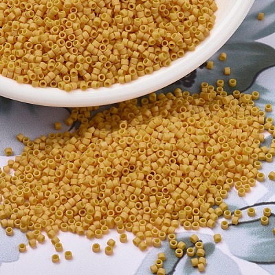 MIYUKI Delica Beads SEED-J020-DB2285-1