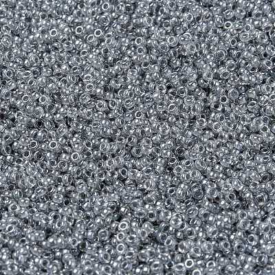 MIYUKI Round Rocailles Beads X-SEED-G009-RR0240-1