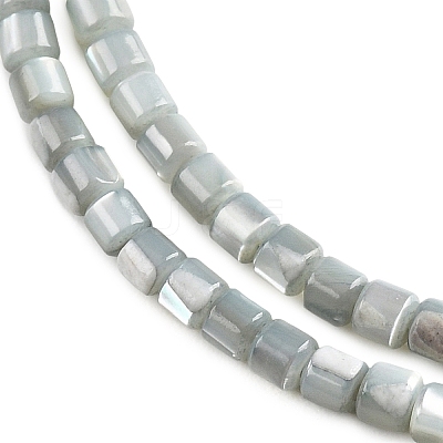 Natural Trochid Shell/Trochus Shell Bead Strands SSHEL-N034-77-C01-1