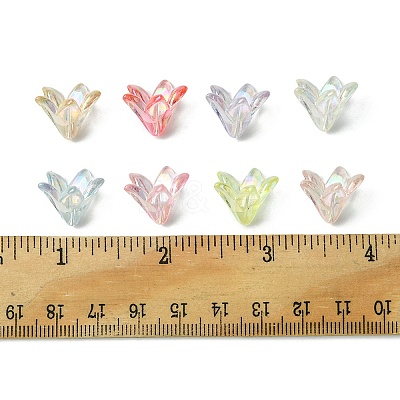 Transparent Acrylic Bead Caps OACR-FS0001-49-1