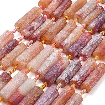 Natural Weathered Agate Beads Strands G-A321-C02-01A-1