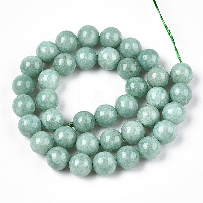 Natural Myanmar Jade/Burmese Jade Beads Strands G-T064-22-10mm-1