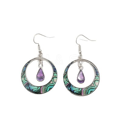 Bohemian Style Zinc Alloy Plastic Dangle Earrings FS-WG6C237-01-1