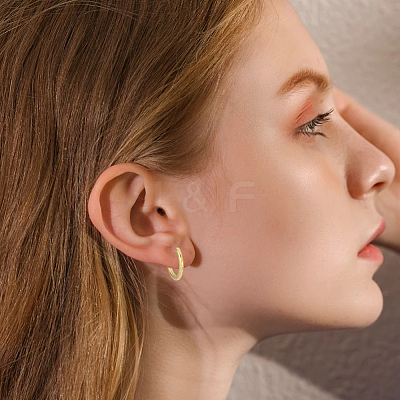 10 Pairs Ion Plating(IP) 304 Stainless Steel Huggie Hoop Earrings EJEW-BBC0002-19C-1