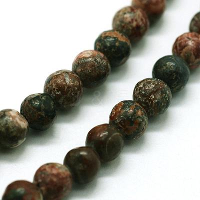 Natural Leopard Skin Jasper Beads Strands G-I199-23-6mm-1