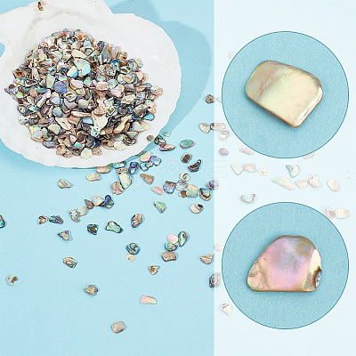 1 Bags Abalone Shell Flakes Cabochons SHEL-GA0001-17A-1