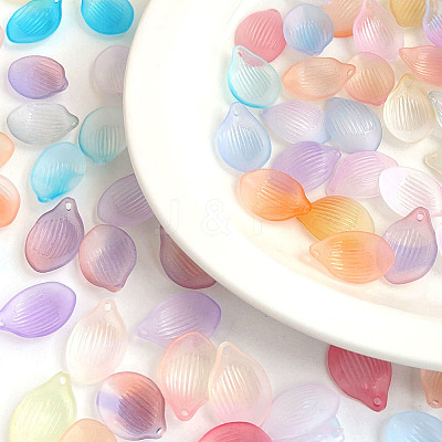 Acrylic Pendants OACR-K008-12-1