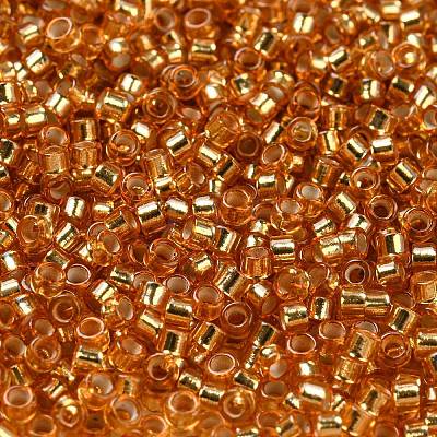 Glass Seed Beads SEED-S042-04A-11-1