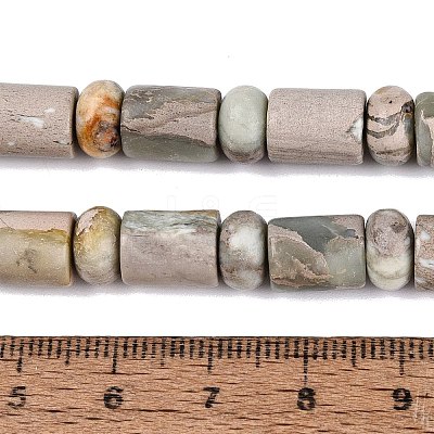Natural Variscite Beads Strands G-Q616-09J-1