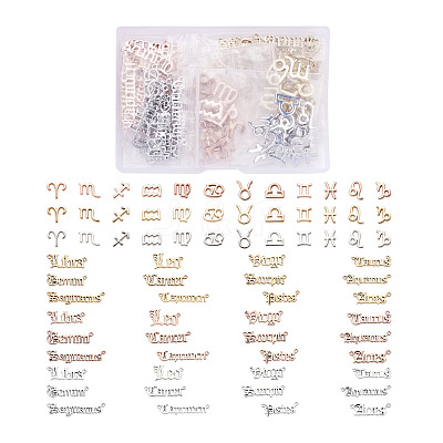 72pcs 6 Sets 6 Style Alloy Pendants FIND-CD0001-10-1