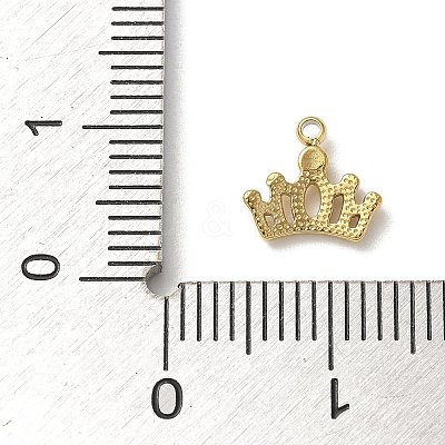 304 Stainless Steel Charms STAS-G352-20G-1