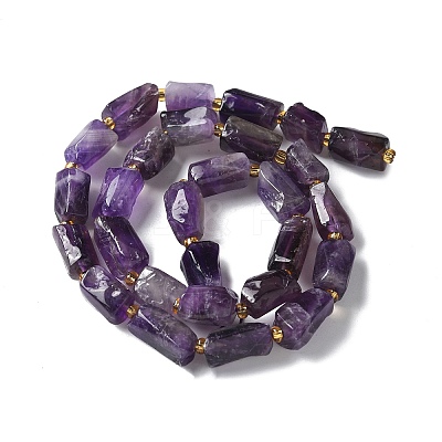 Natural Amethyst Beads Strands G-N327-06-41-1