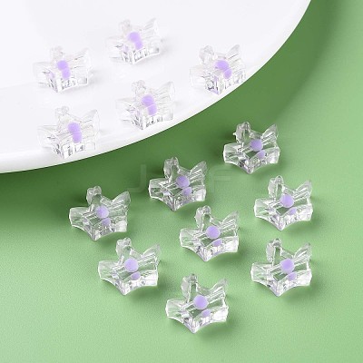Transparent Acrylic Beads LS-MACR-S373-105-B02-1