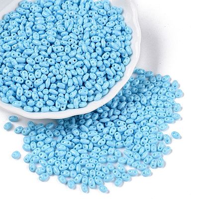 Baking Paint Glass Seed Beads SEED-T006-03I-1