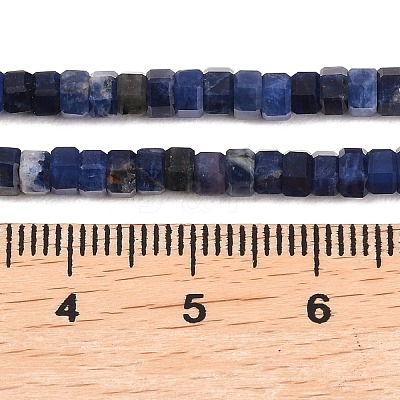 Natural Sodalite Beads Strands G-G345-C31-2x4mm-1