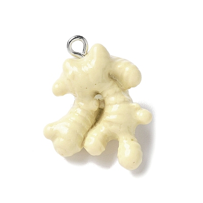 Resin Iron Pendants RESI-D280-04-1