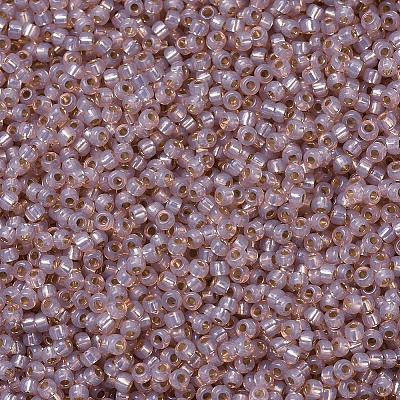 MIYUKI Round Rocailles Beads X-SEED-G007-RR0579-1